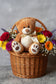 Soft gift toys