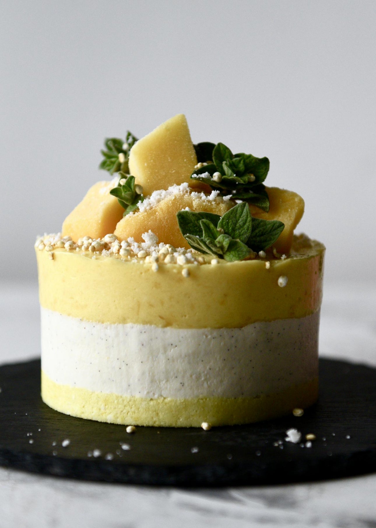 Vegan Mango Lemon Coconut Ice cream cake