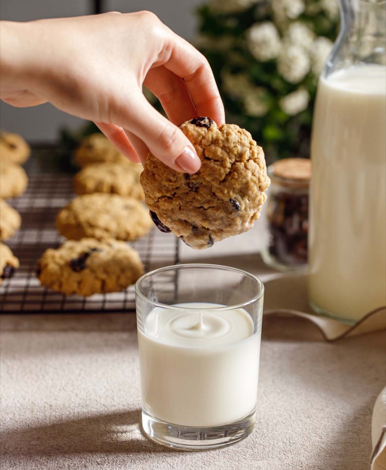 Gluten-free Vegan Oat Cookies