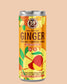 Can of 59 North Ginger Ale with colorful label on beige background